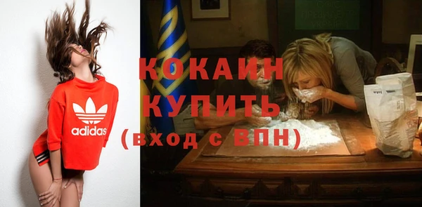 индика Калининец