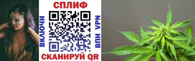 Конопля Ganja  Агидель 